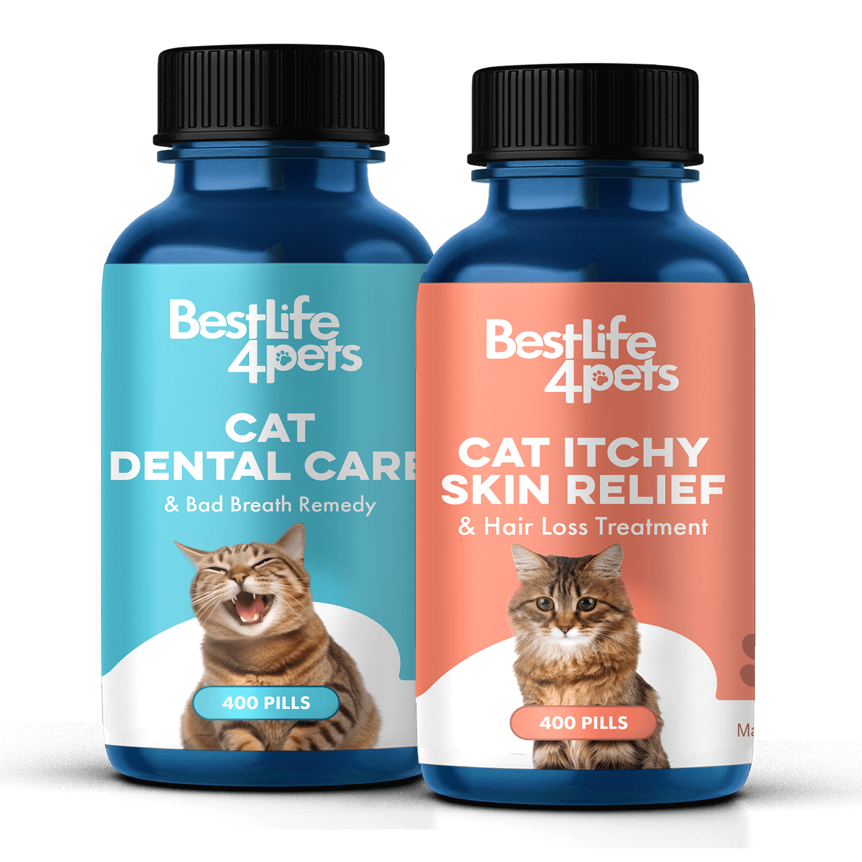 Miliary dermatitis cat shampoo hotsell