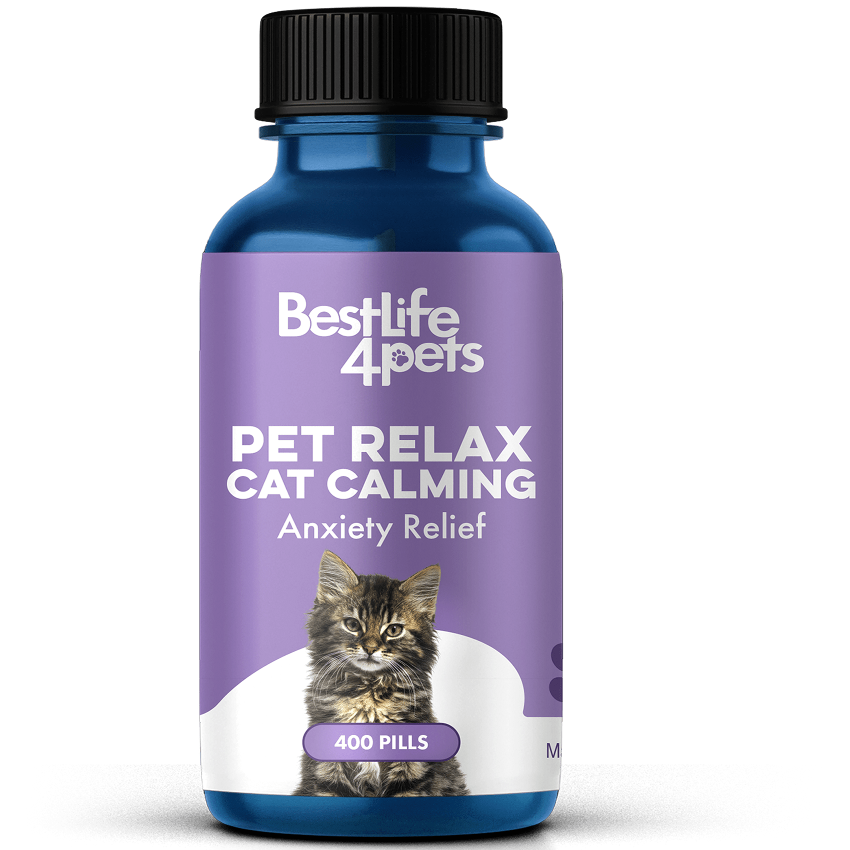 Cat anxiety fashion treatment