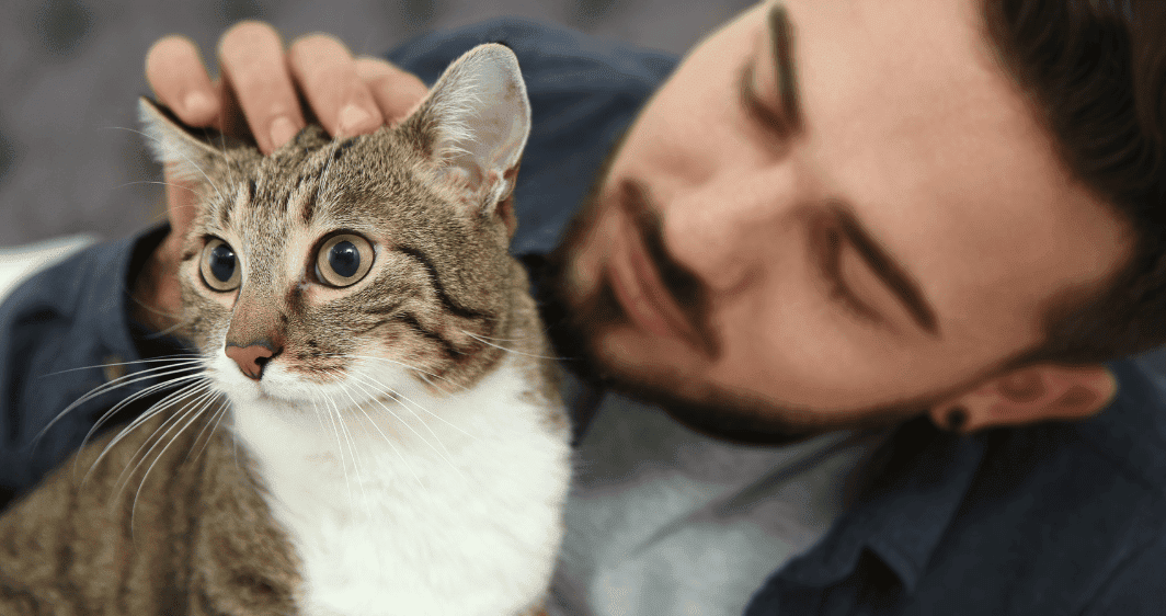 Man cuddling and petting a cat with a white chest