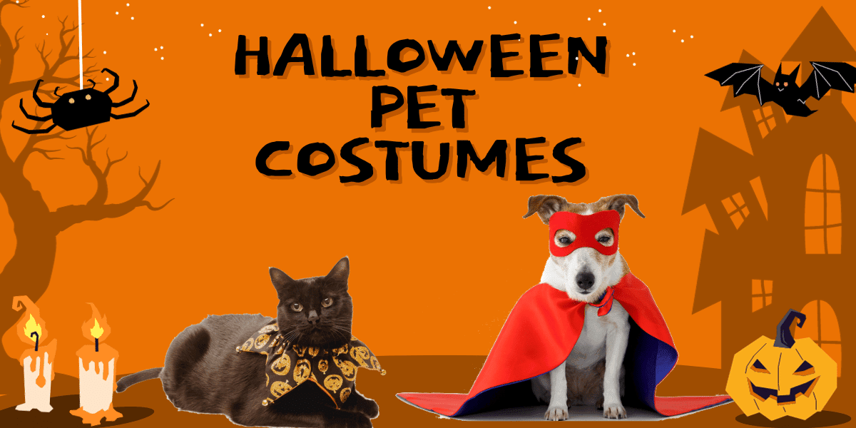 halloween pet costumes