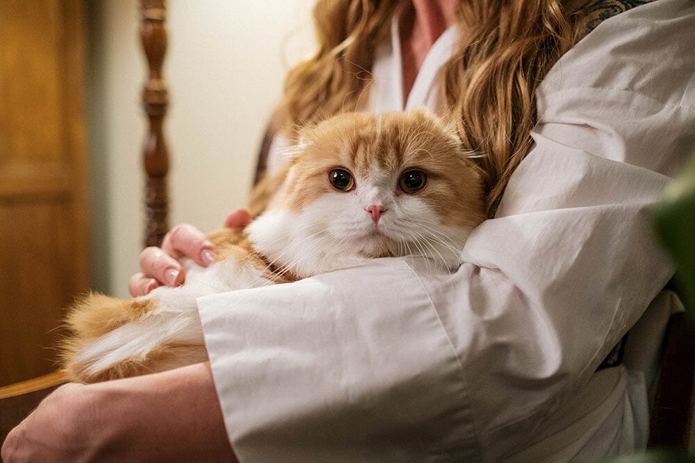 woman with orange cat