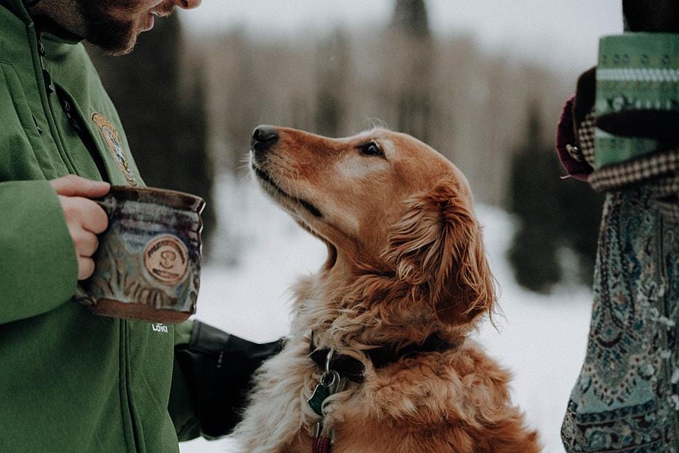 man with dog