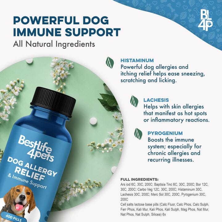 Dog Allergy & Immune Support Remedy BestLife4Pets 