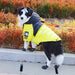 The Dog Face Windproof Waterproof Reflective Pet Cat Dog Jacket by Furr Baby Gifts Furr Baby Gifts 