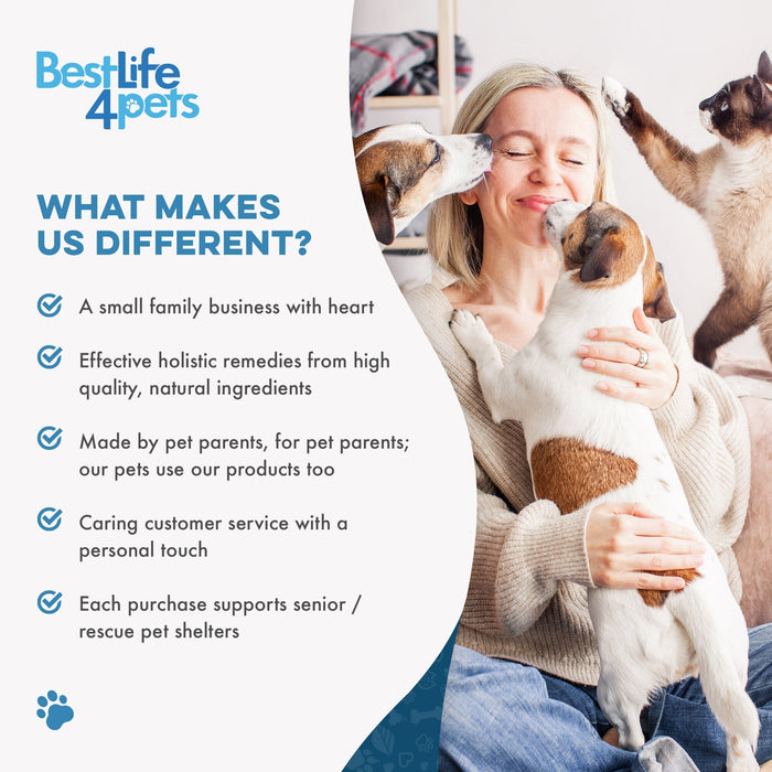 Cat Allergy Relief & Immune Support BestLife4Pets 