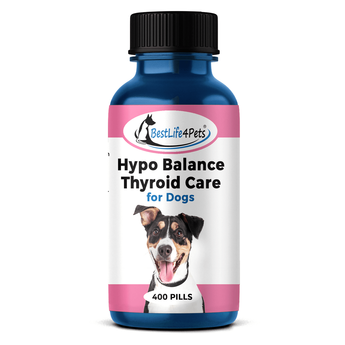 Natural Thyroid Remedy for Dogs with Hypothyroidism BestLife4Pets