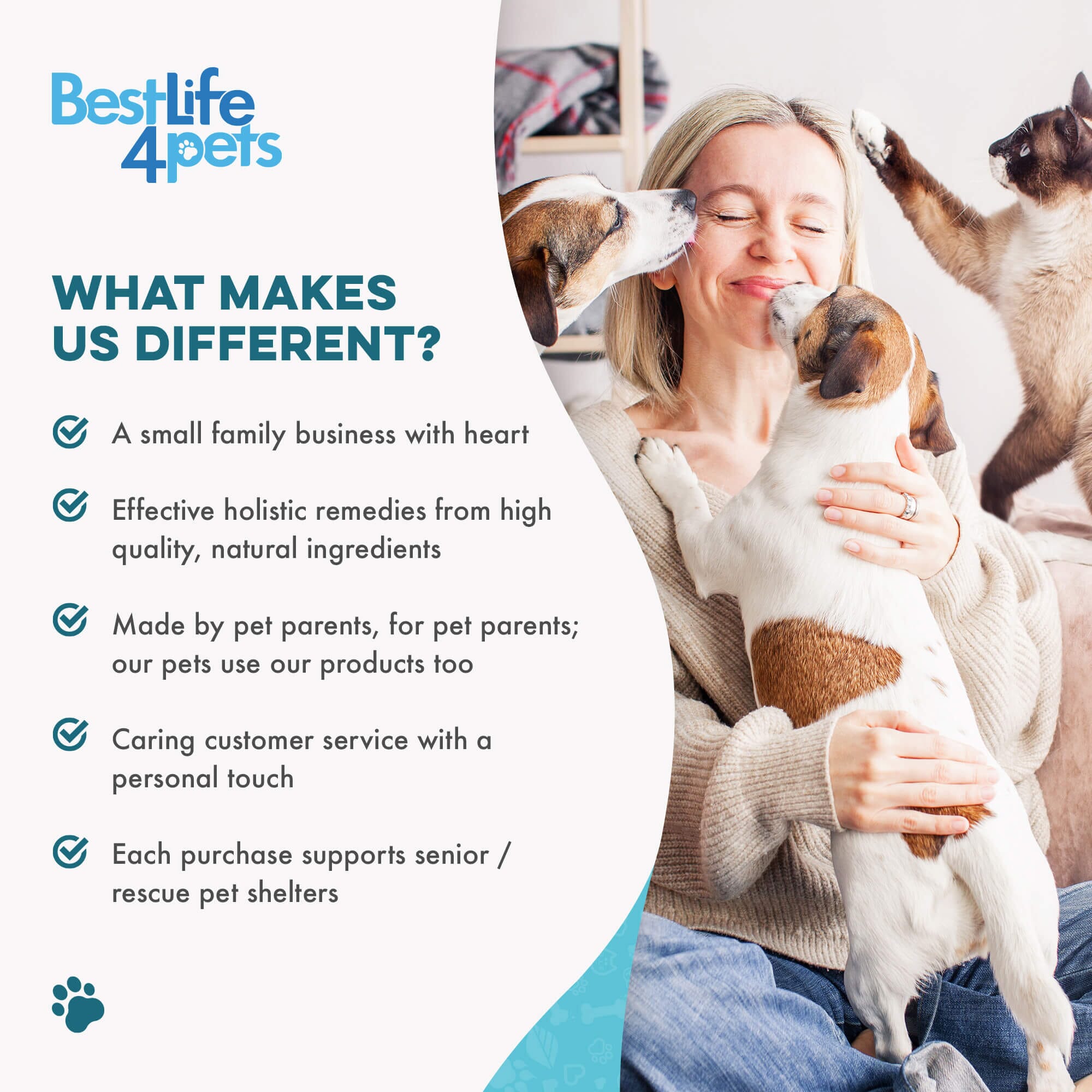 Breathe Easy for Cats - Cold, Sneezing & Respiratory Support BestLife4Pets 