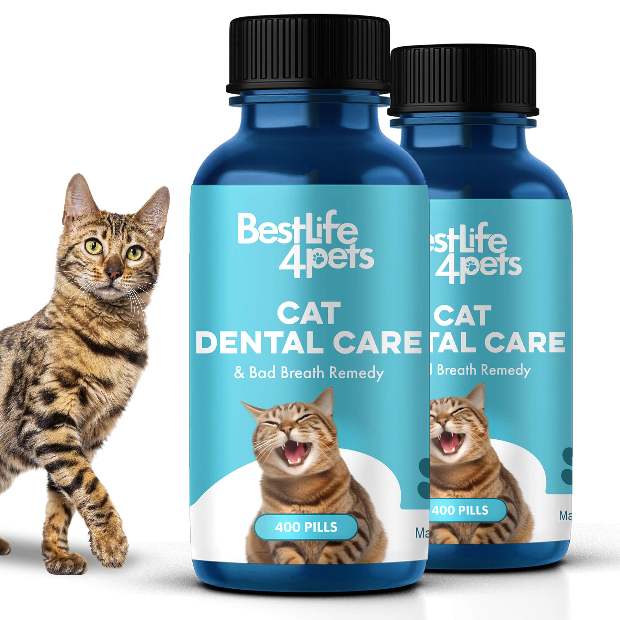 Cat Dental Care and Bad Breath Remedy - Natural Solution for Better Feline Oral Health BestLife4Pets 