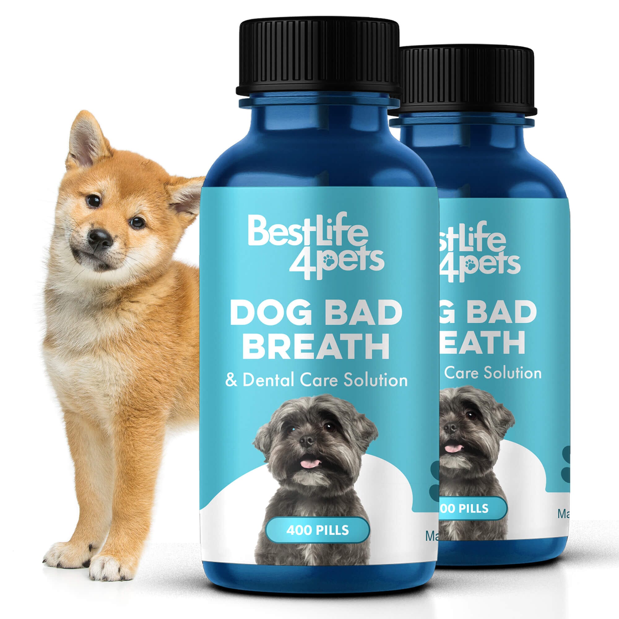 Dog Bad Breath & Dental Care Solution - Natural Remedy for Canine Oral Health BestLife4Pets 