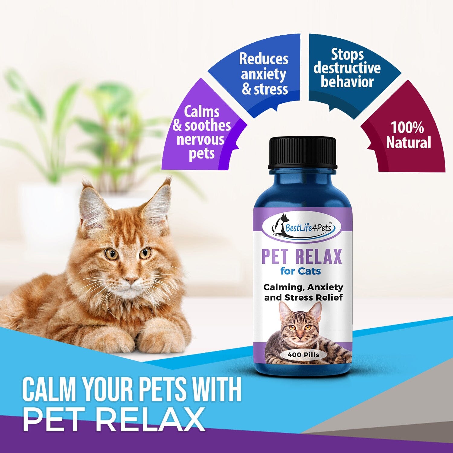 Pet Relax Cat Calm Anxiety and Stress Relief BestLife4Pets