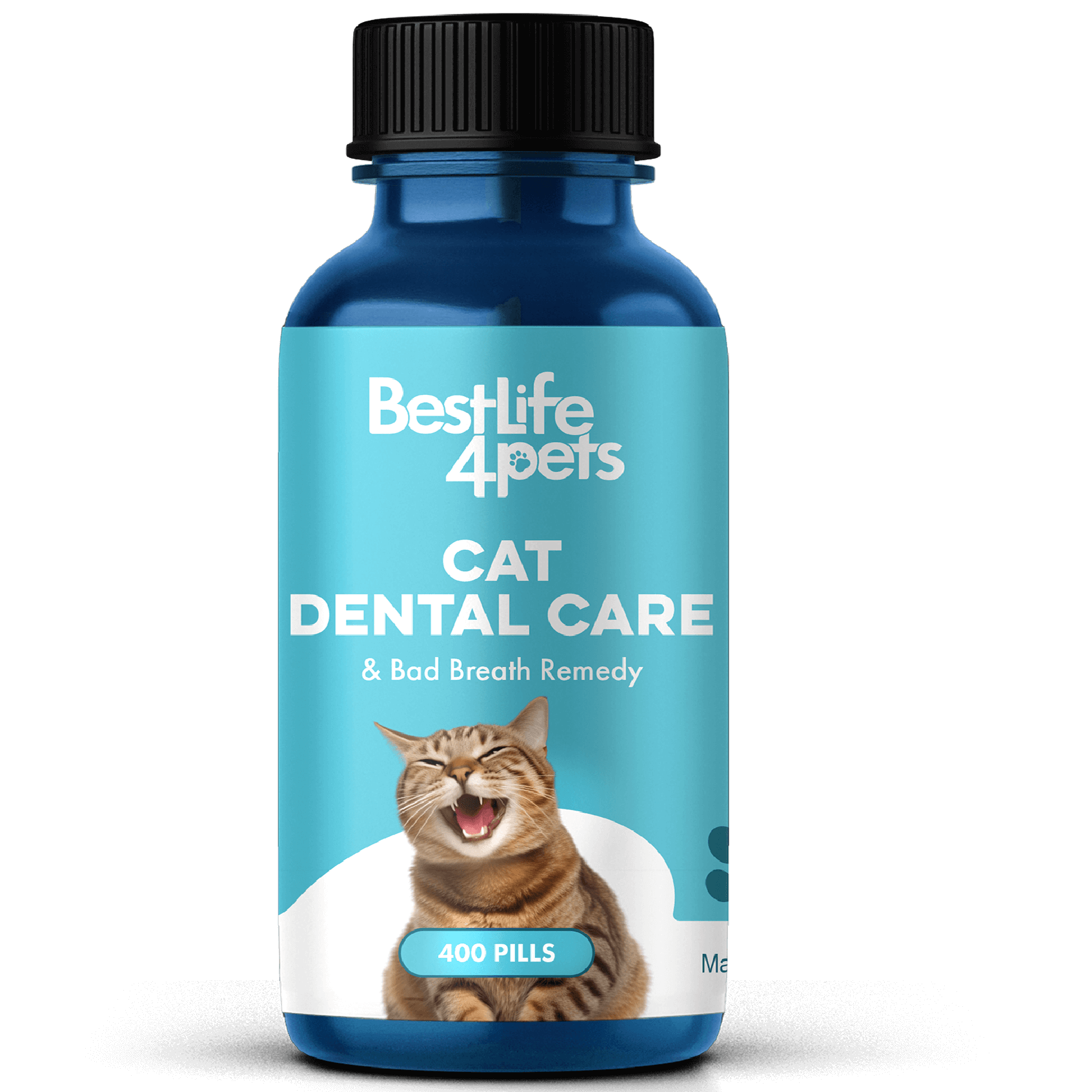 Cat Dental Care and Bad Breath Remedy - Natural Solution for Better Feline Oral Health BestLife4Pets 