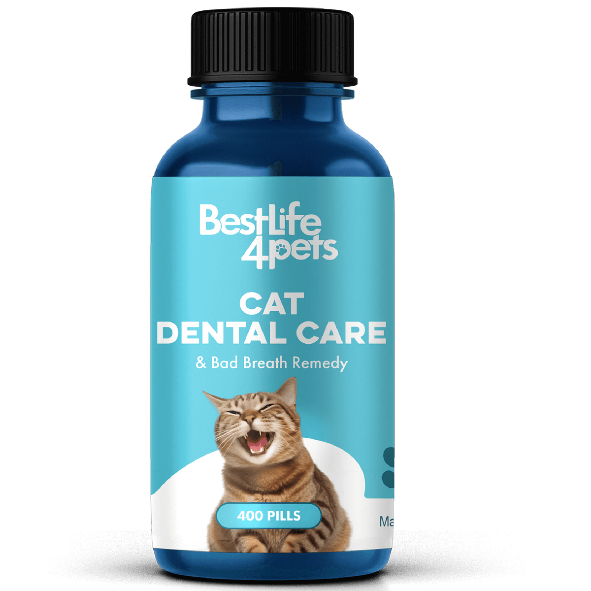 Cat Dental Care and Bad Breath Remedy Natural Solution for