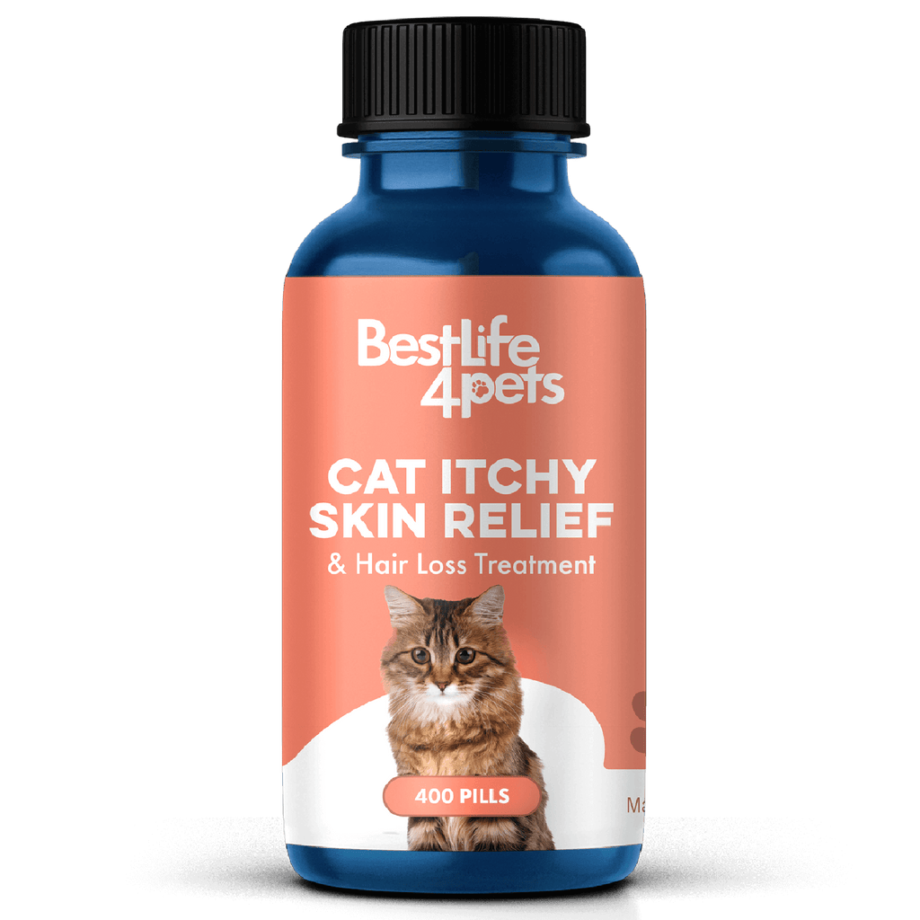 Natural Supplements for Cats & Kittens // BestLife4Pets