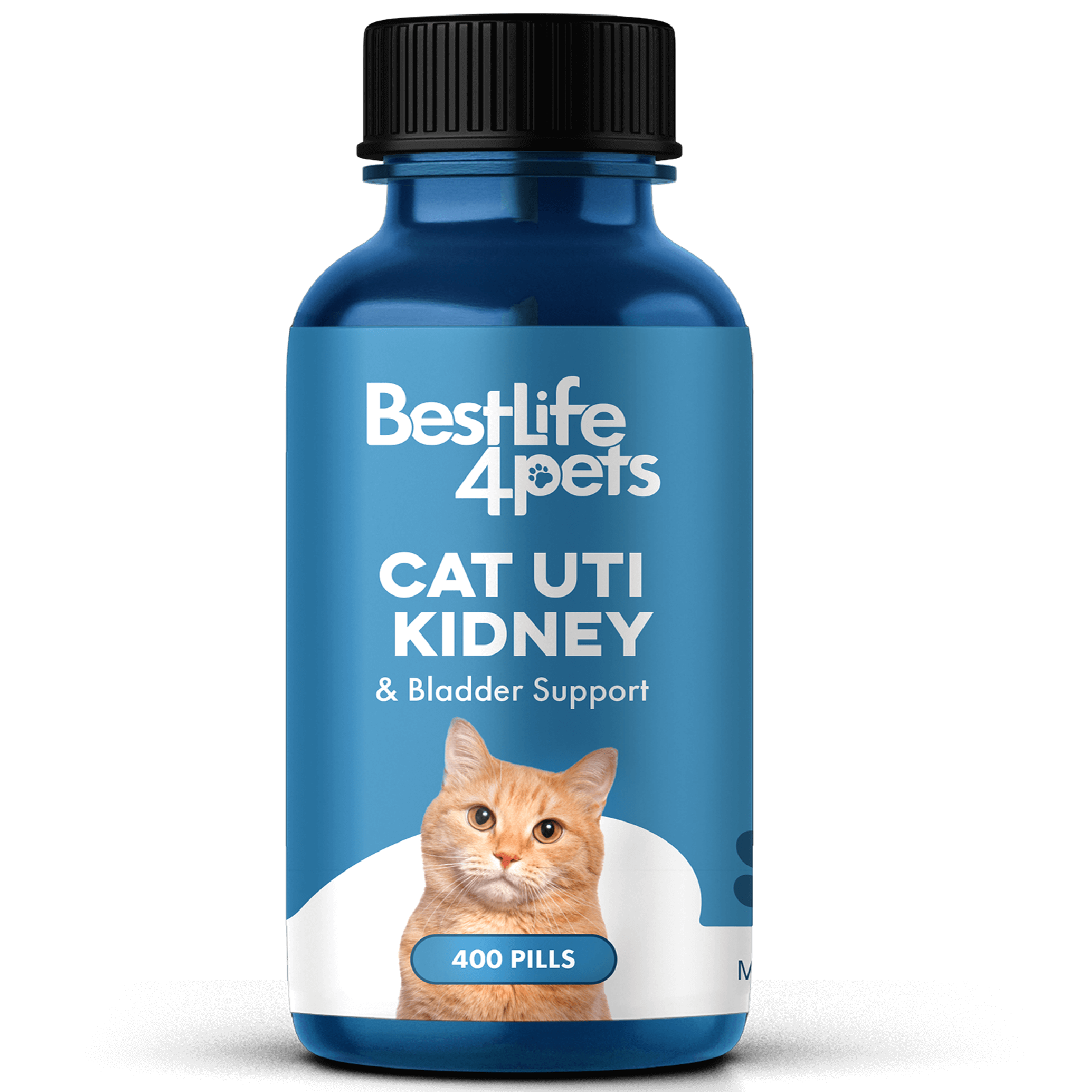 Natural Cat UTI & Kidney Remedy - Reduces Infections and Supports Optimal Bladder Function BestLife4Pets 