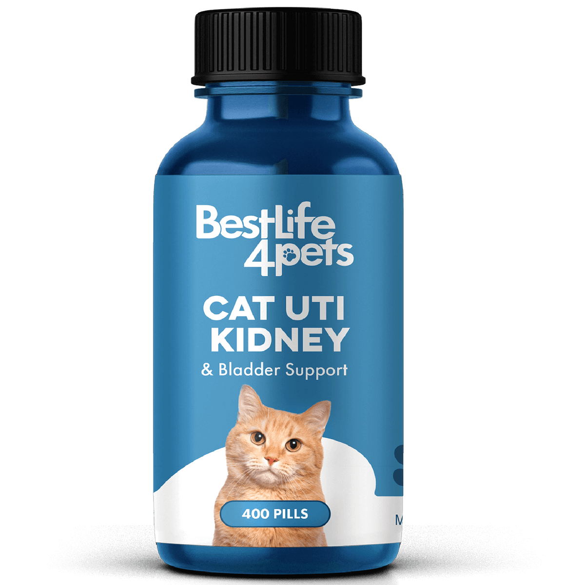 Natural Cat UTI Remedy Bladder Infection Kidney Support