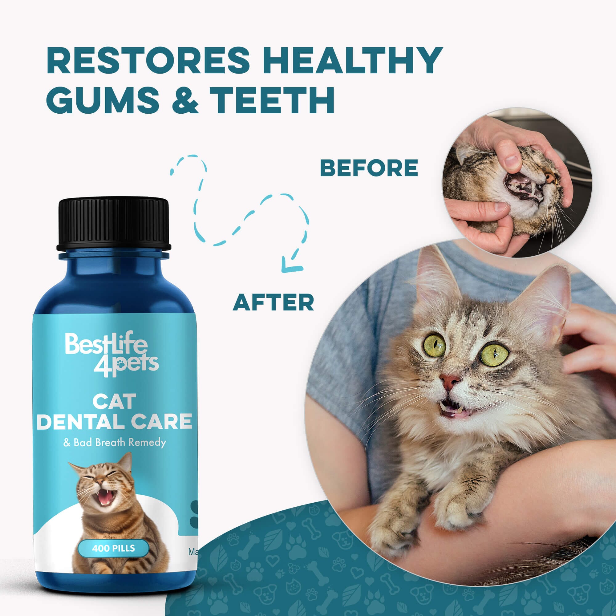 Cat Dental Care and Bad Breath Remedy - Natural Solution for Better Feline Oral Health BestLife4Pets 