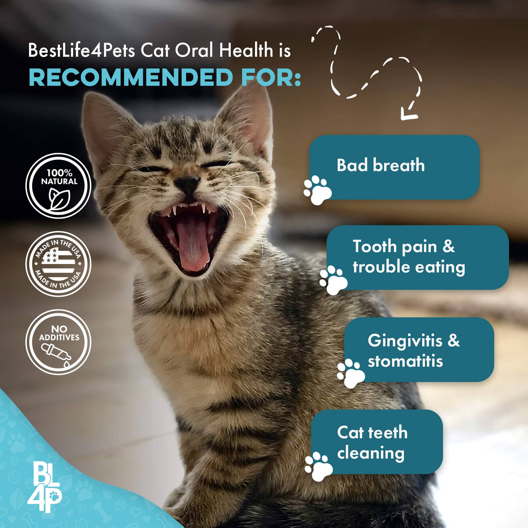 Cat Dental Care and Bad Breath Remedy - Natural Solution for Better Feline Oral Health BestLife4Pets 