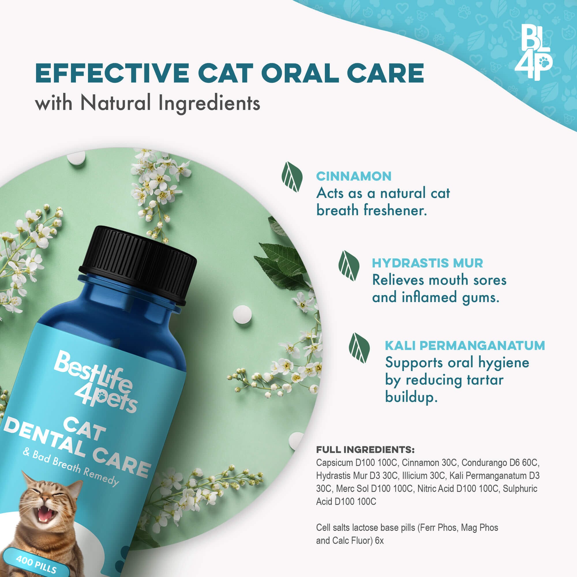 Cat Dental Care and Bad Breath Remedy - Natural Solution for Better Feline Oral Health BestLife4Pets 