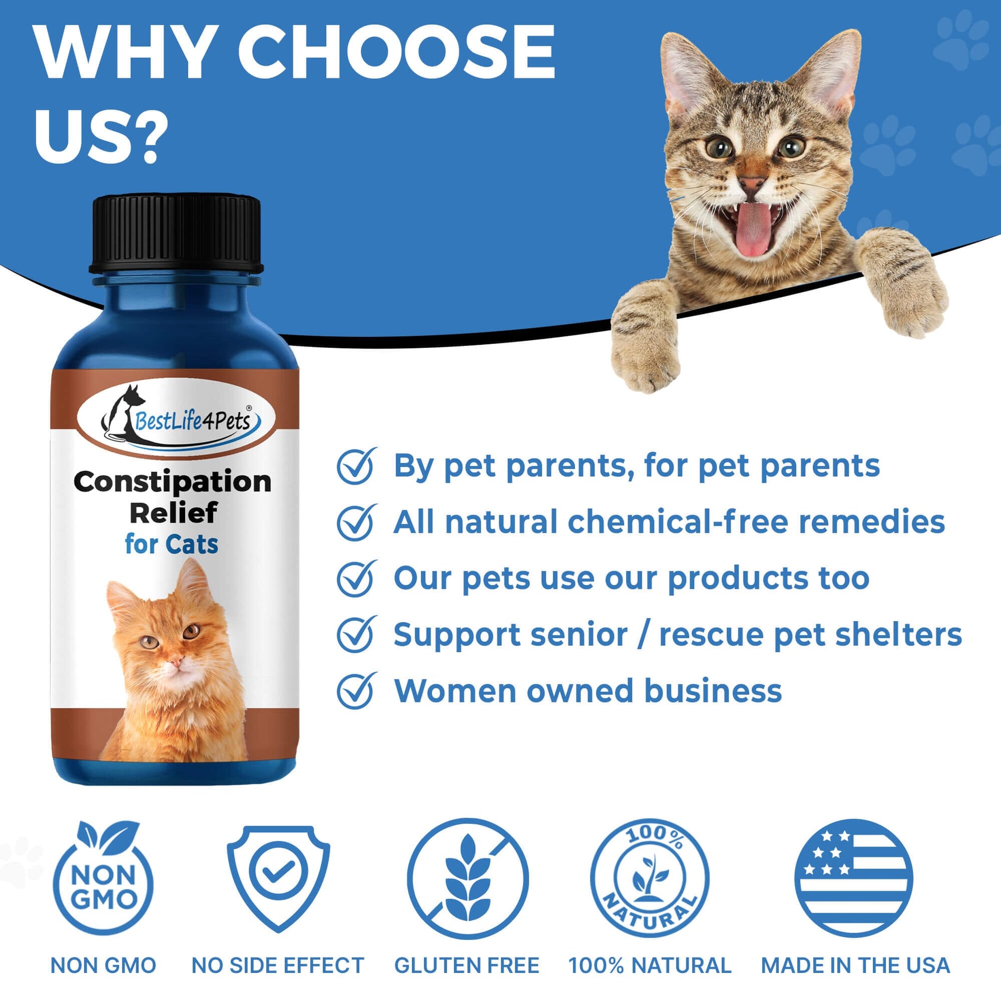 Natural Cat Laxative & Constipation Treatment // BestLife4Pets