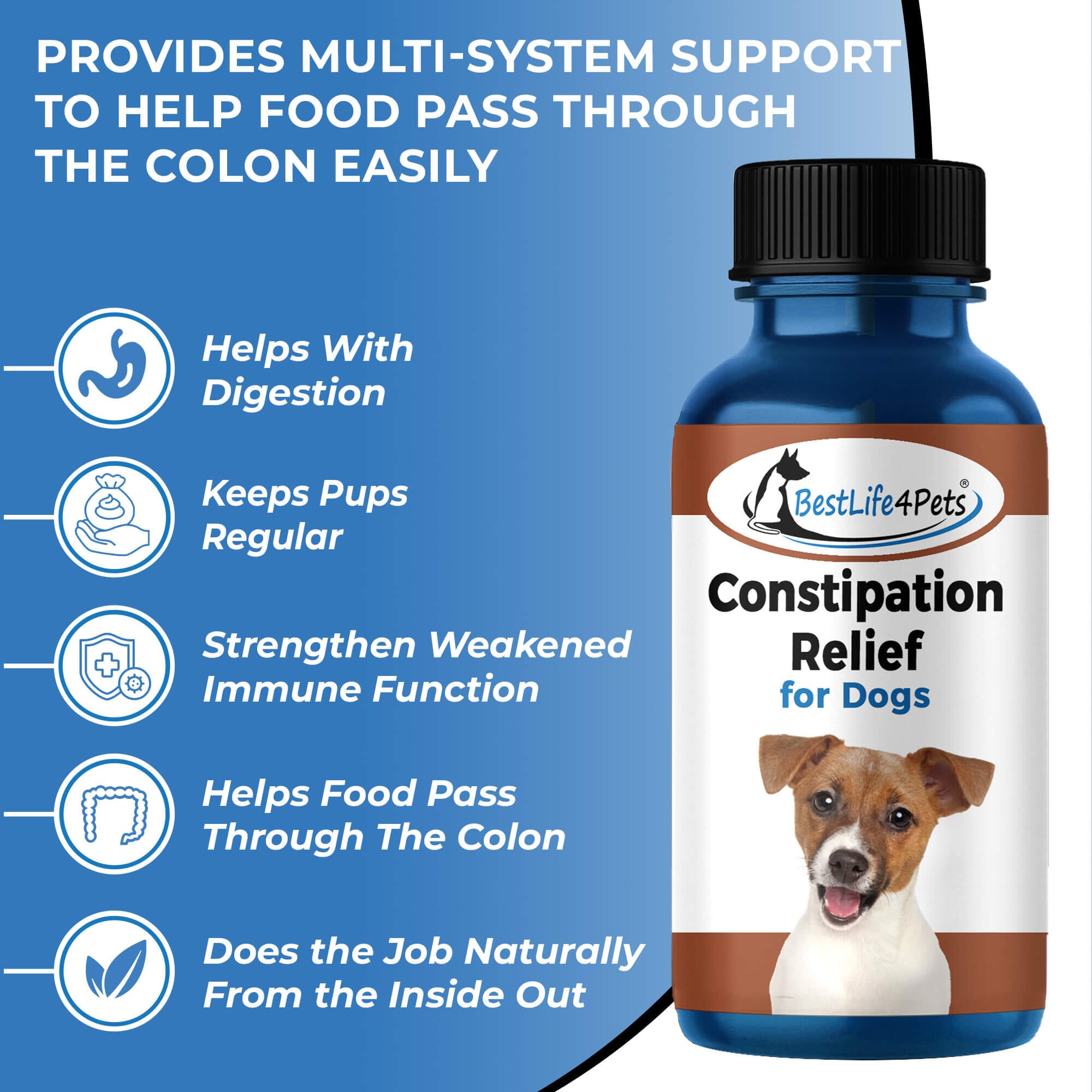 Treating constipation in dogs naturally sale