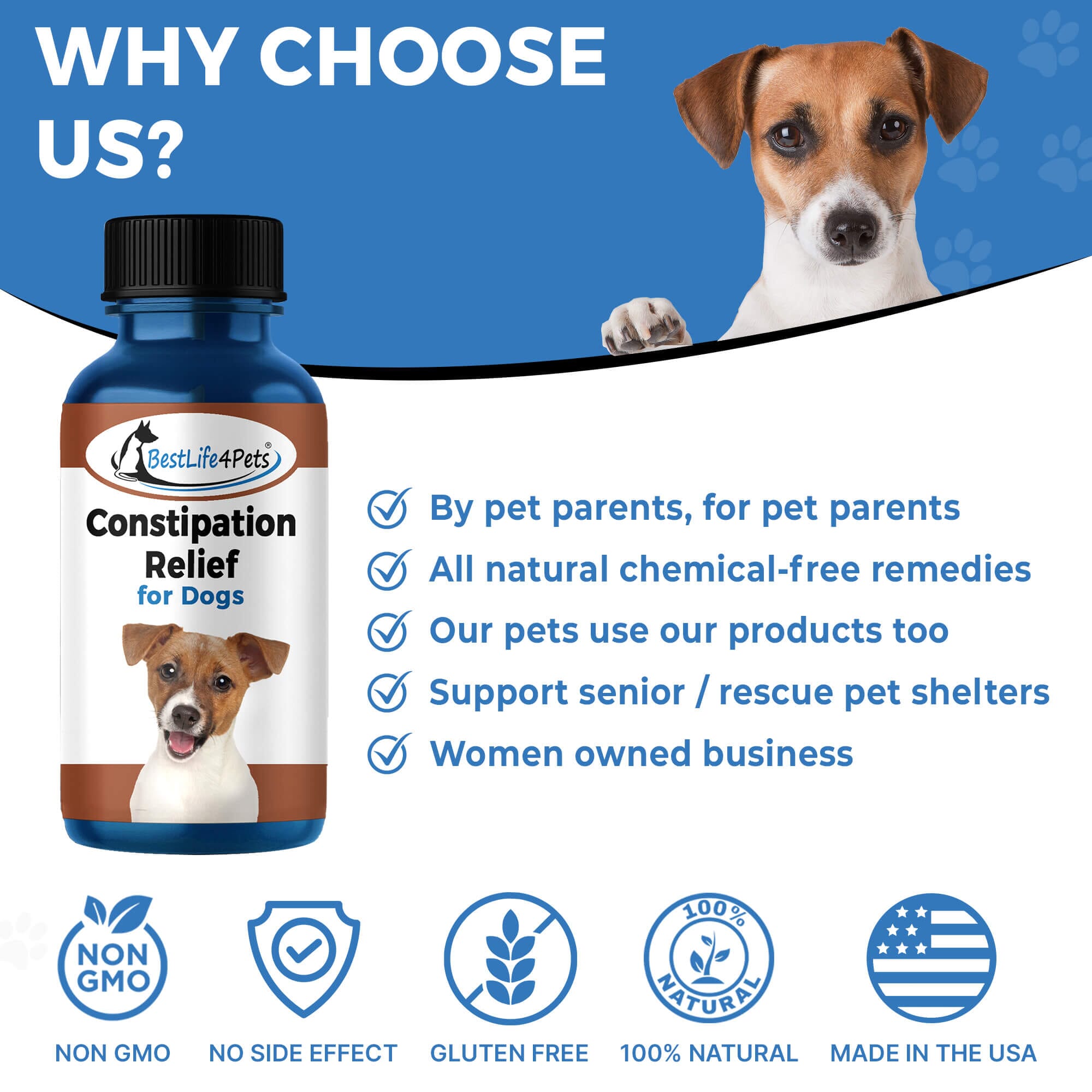 What do i give best sale my dog for constipation