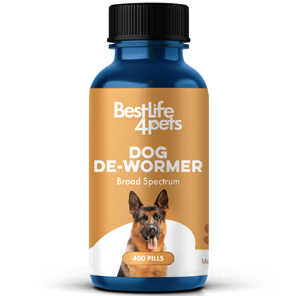 Natural Over the Counter Dewormer for Dogs // BestLife4Pets