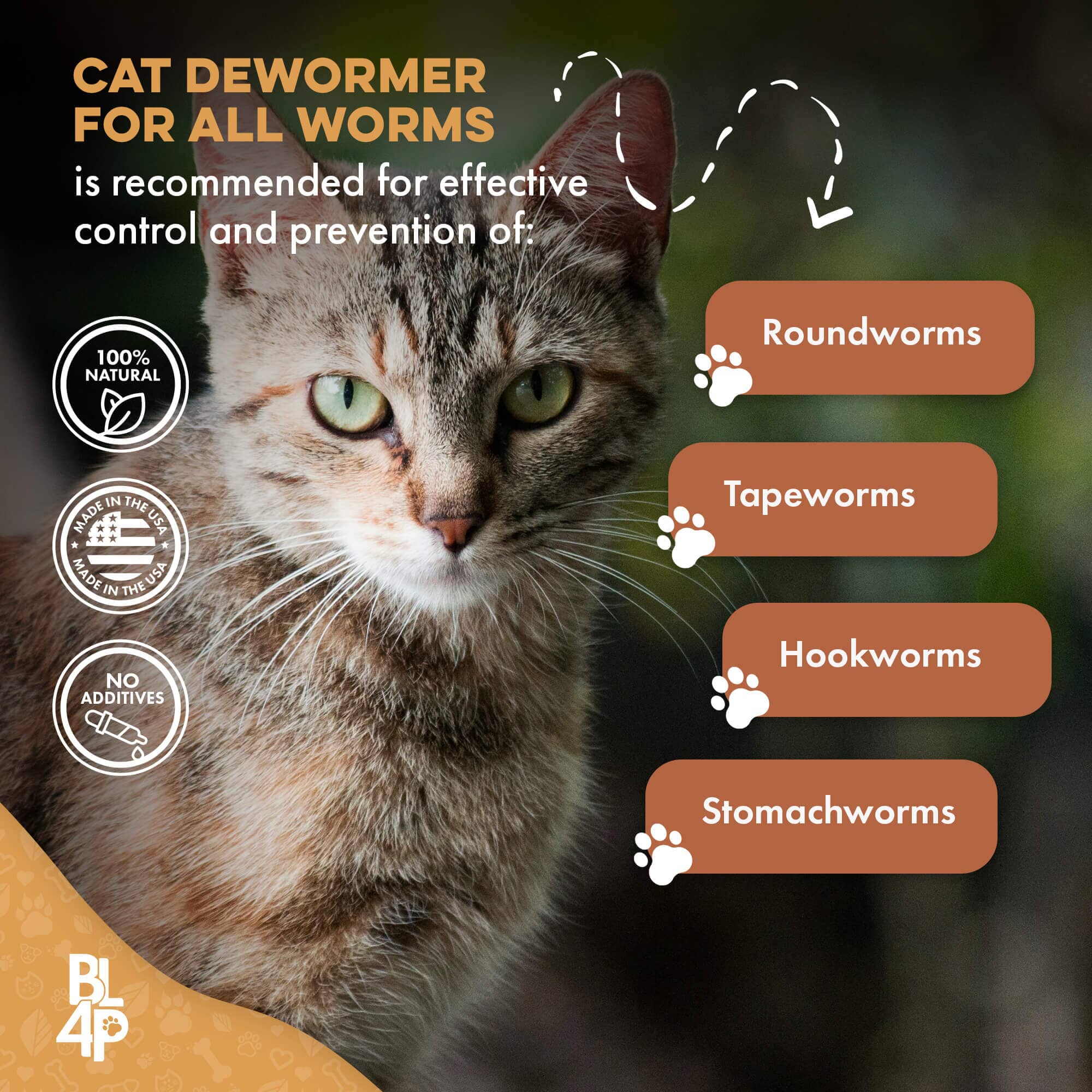 Homeopathic Broad Spectrum Dewormer for Cats & Kittens BestLife4Pets 