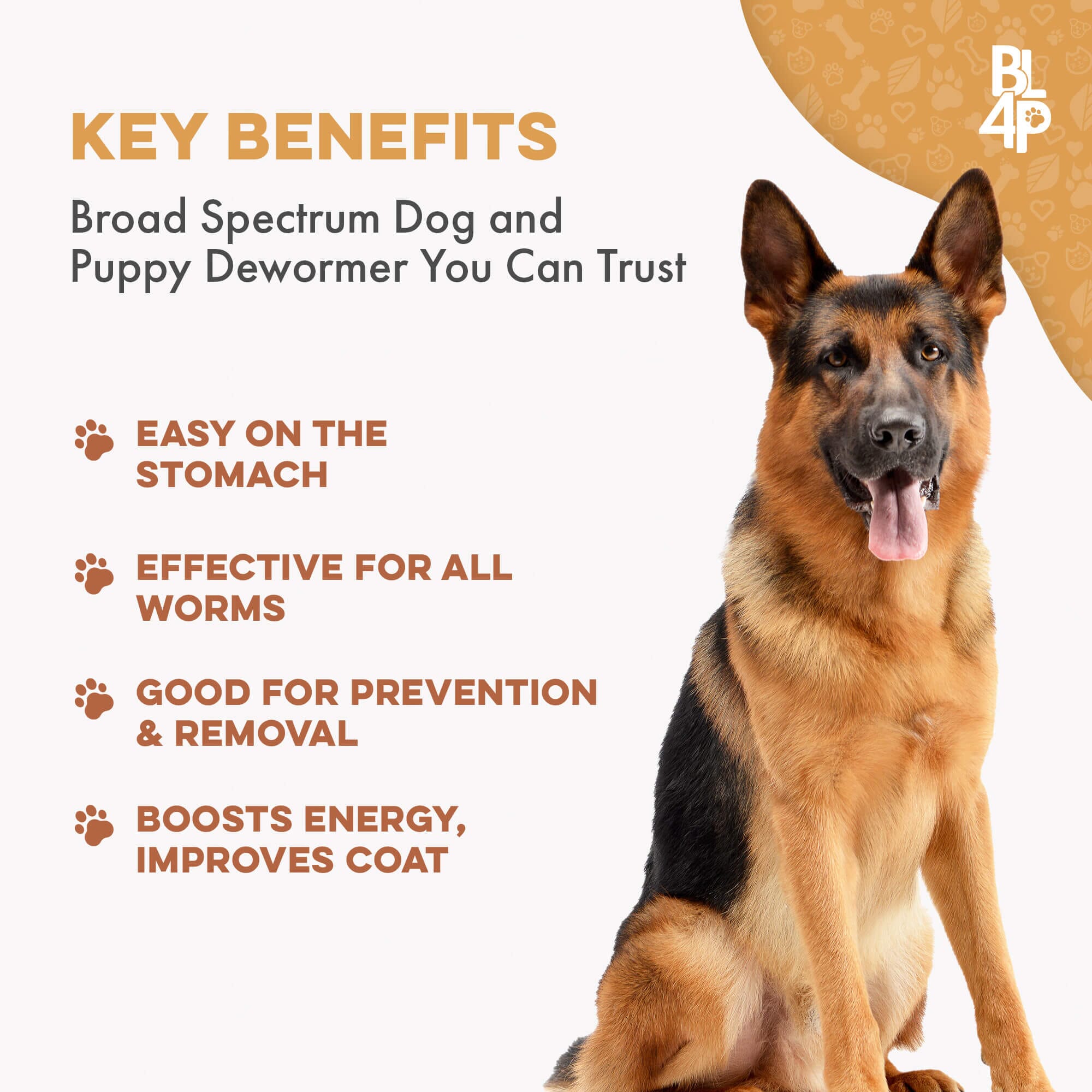 Broad Spectrum De-wormer for All Dogs BestLife4Pets 