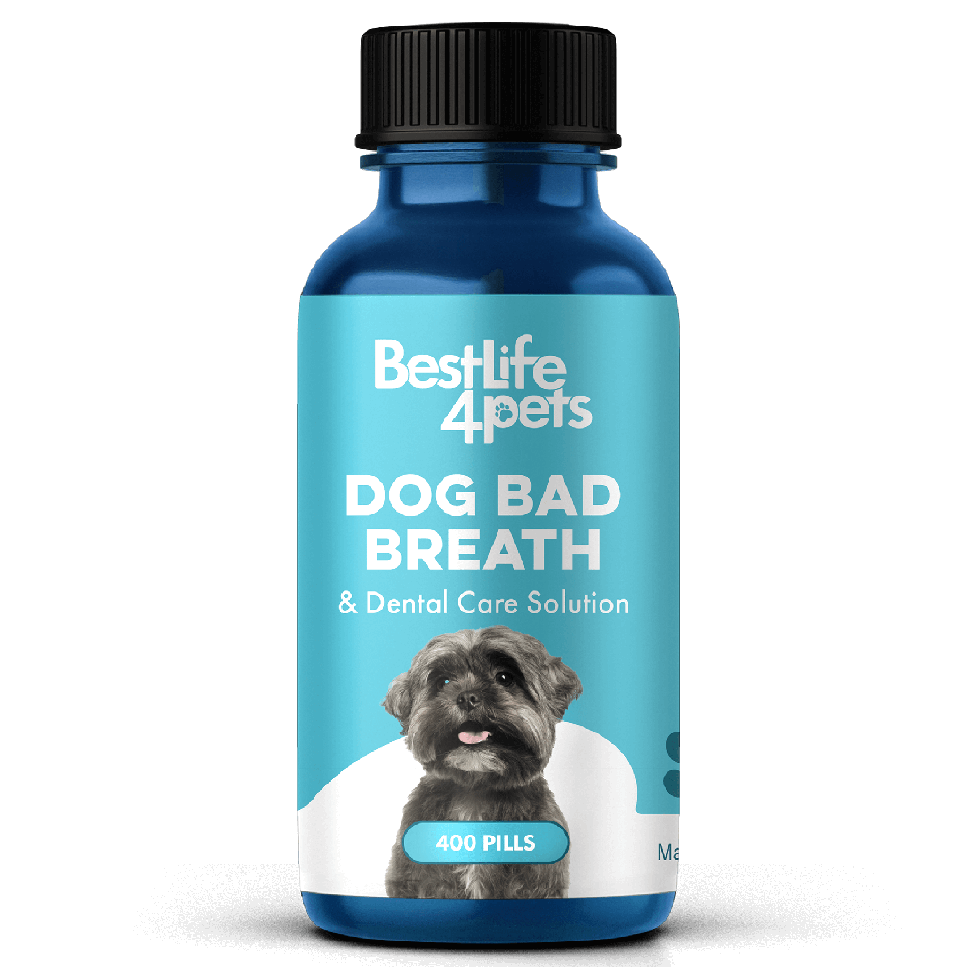 Dog Bad Breath & Dental Care Solution - Natural Remedy for Canine Oral Health BestLife4Pets 