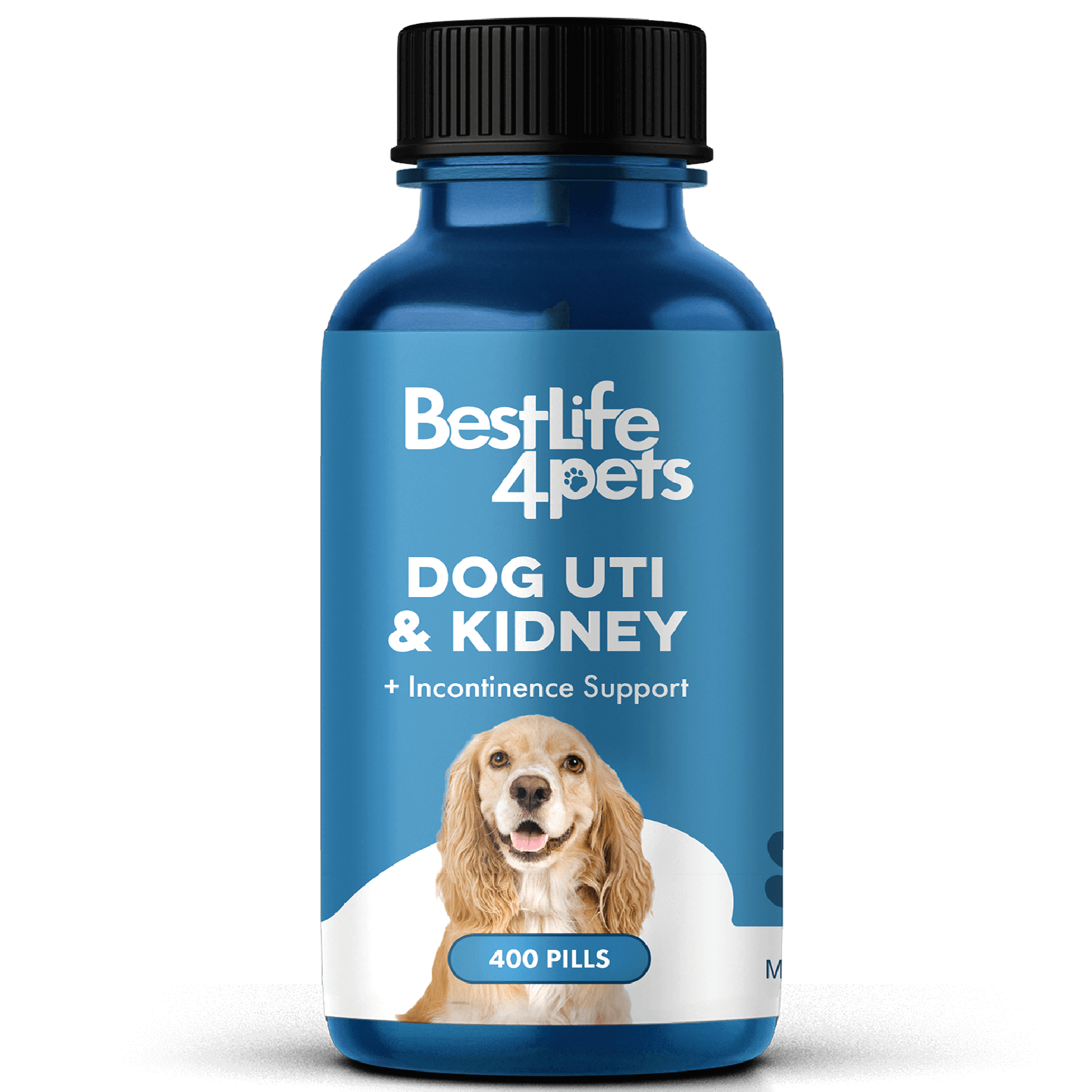 Dog UTI Remedy Kidney Stones Bladder Infection BestLife4Pets