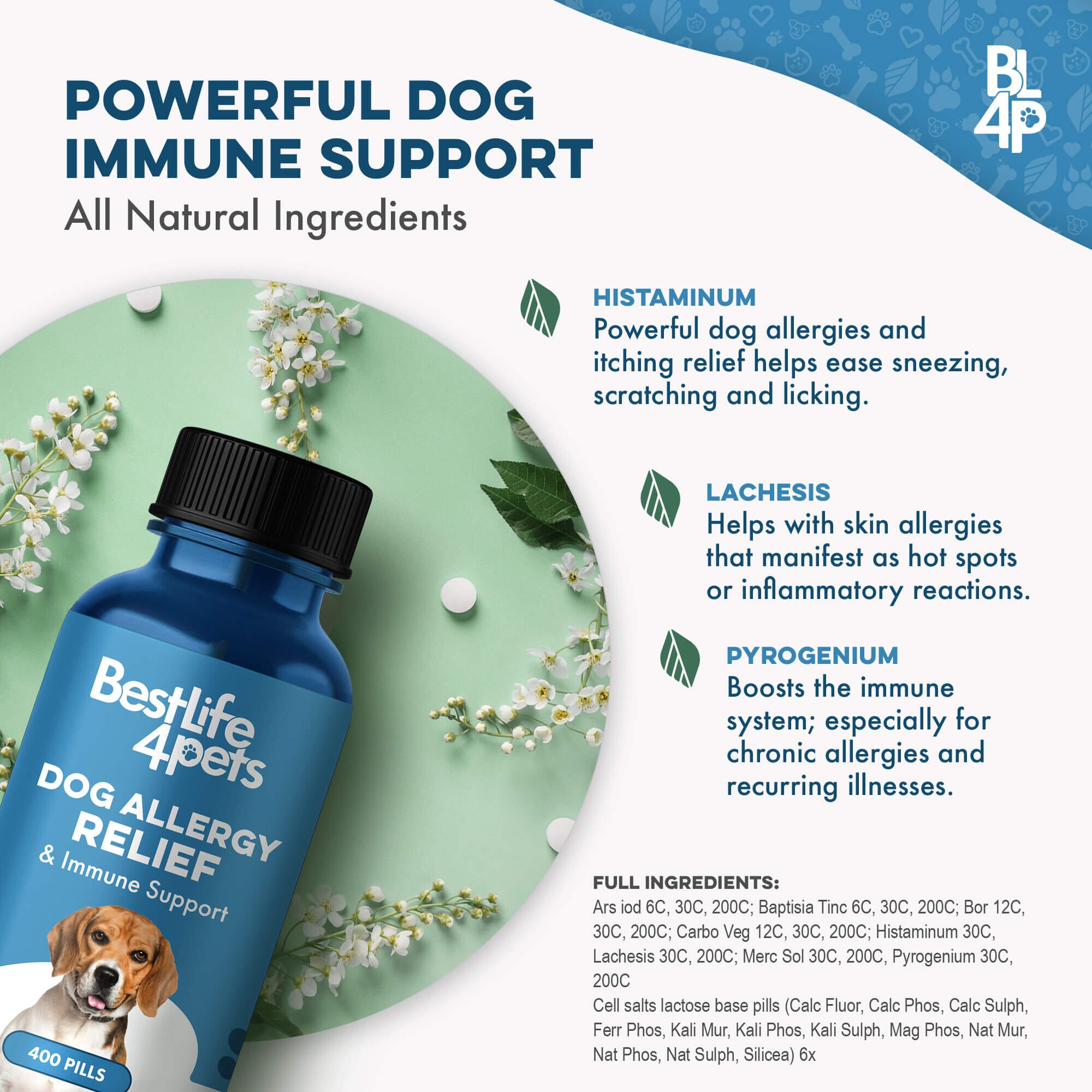 Dog Allergy & Immune Support Supplement BestLife4Pets 