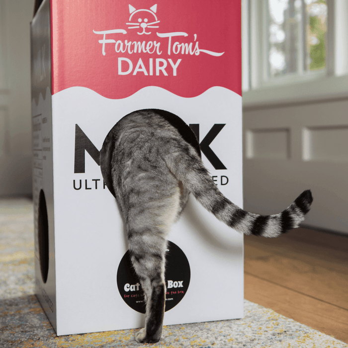 Mega Milk Carton Cardboard Cat House by Cat in the Box Cat in the Box 