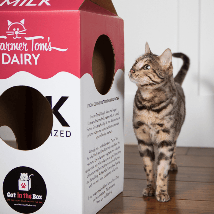 Mega Milk Carton Cardboard Cat House by Cat in the Box Cat in the Box 