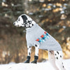 Winter Sailor Sweater - Grey Mix by GF Pet GF Pet 