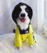 The Dog Face Windproof Waterproof Reflective Pet Cat Dog Jacket by Furr Baby Gifts Furr Baby Gifts 