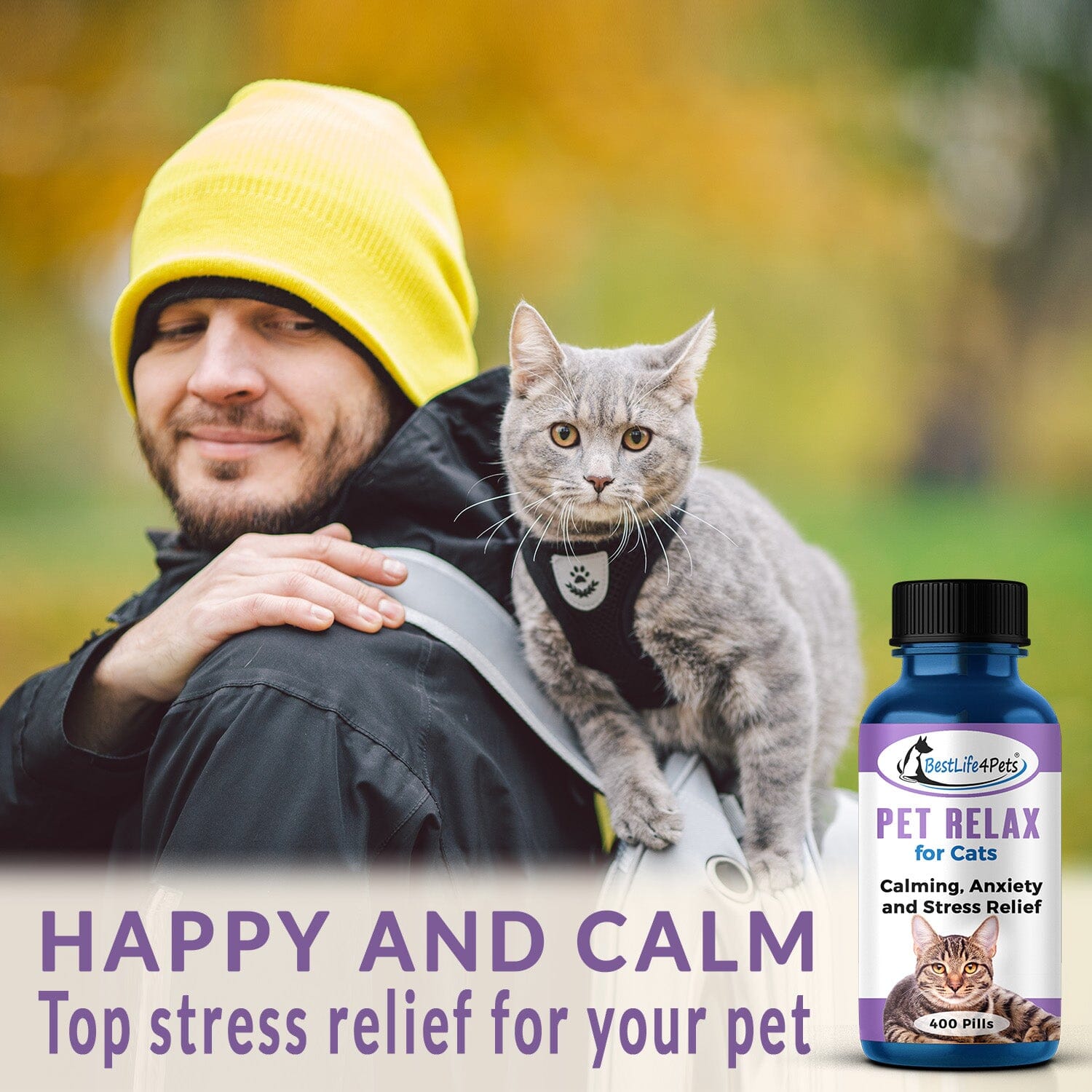 Best cat anxiety clearance relief