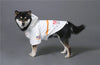 The Dog Face Windproof Waterproof Reflective Pet Cat Dog Jacket by Furr Baby Gifts Furr Baby Gifts 