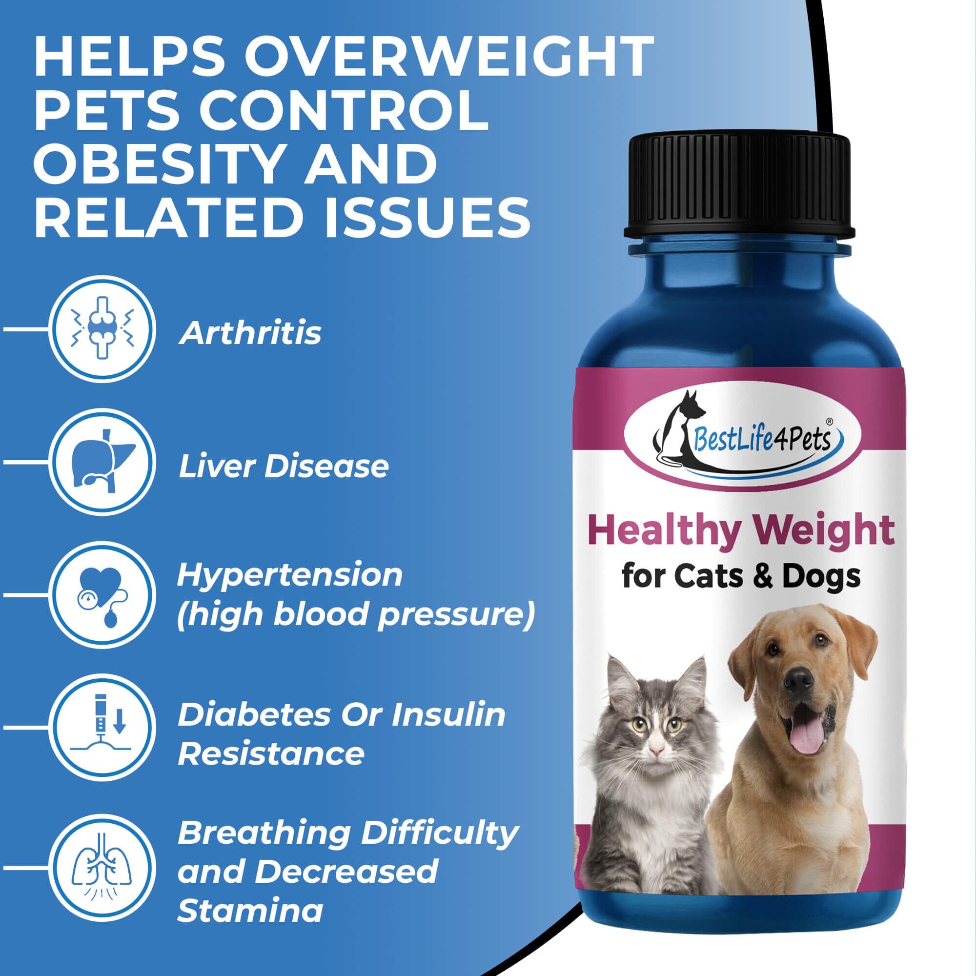 Natural Weight Loss Supplement Tablets for Dogs Cats