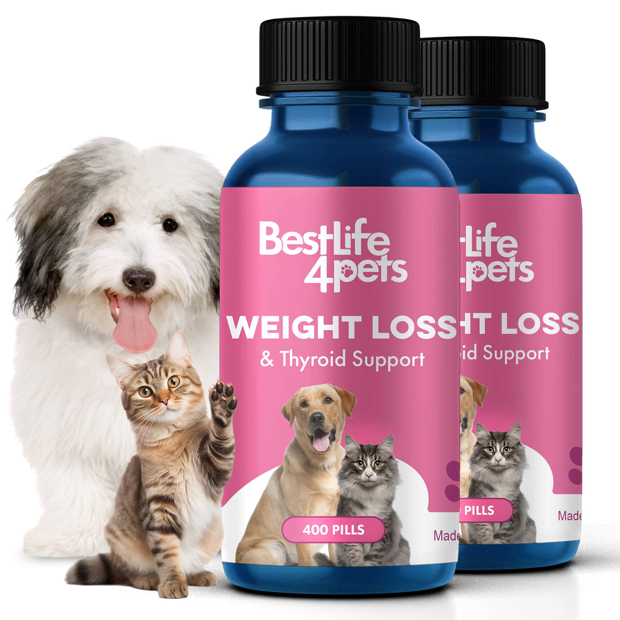 Natural Weight Loss & Thyroid Support Supplement for Dogs & Cats BestLife4Pets 