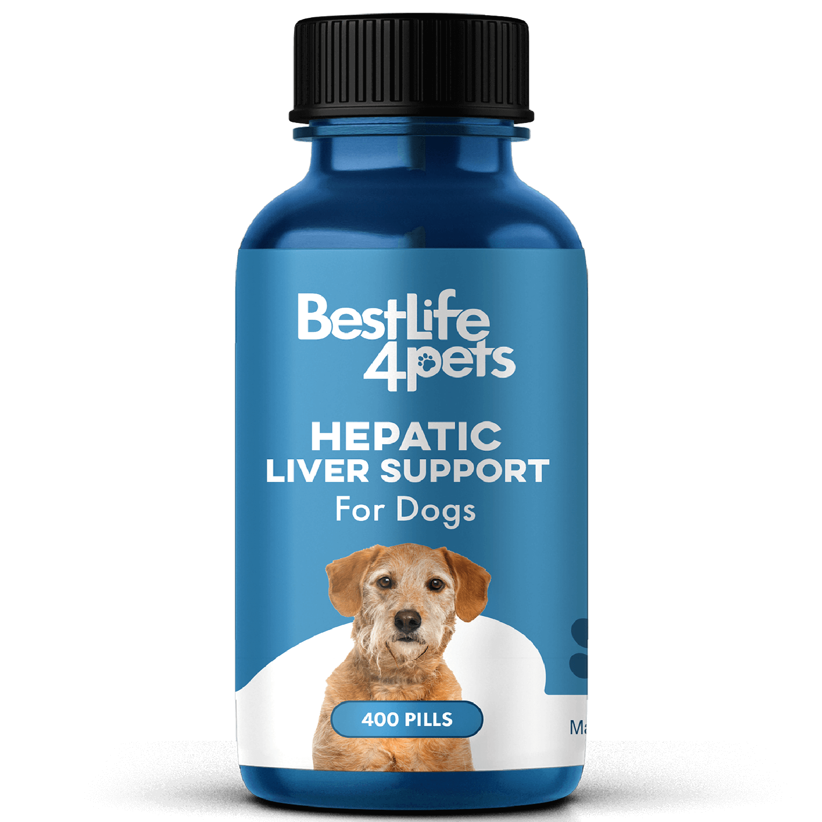 Natural Liver Support Supplement for Dogs BestLife4Pets