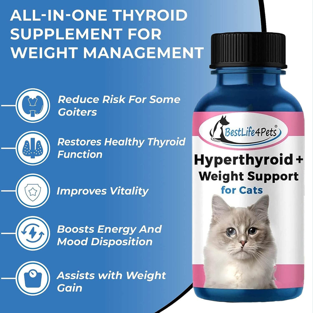 Hyperthyroid Supplement for Cats + Cat Weight Gain // BestLife4Pets