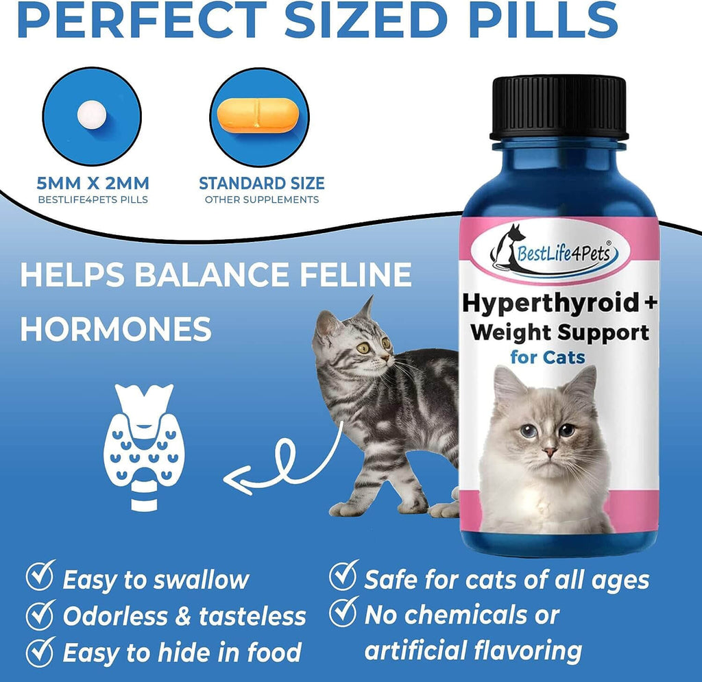 Hyperthyroid Supplement for Cats + Cat Weight Gain // BestLife4Pets