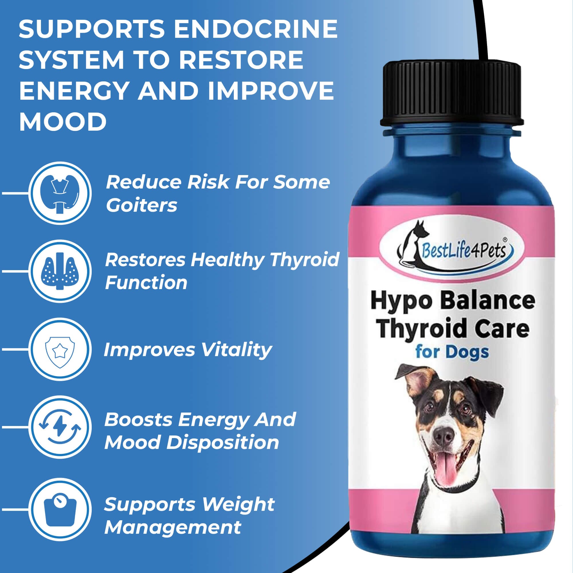 Dog hyperthyroidism shop natural treatment