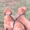 Dual Bungee Leash Add-On by Threaded Pear Threaded Pear 