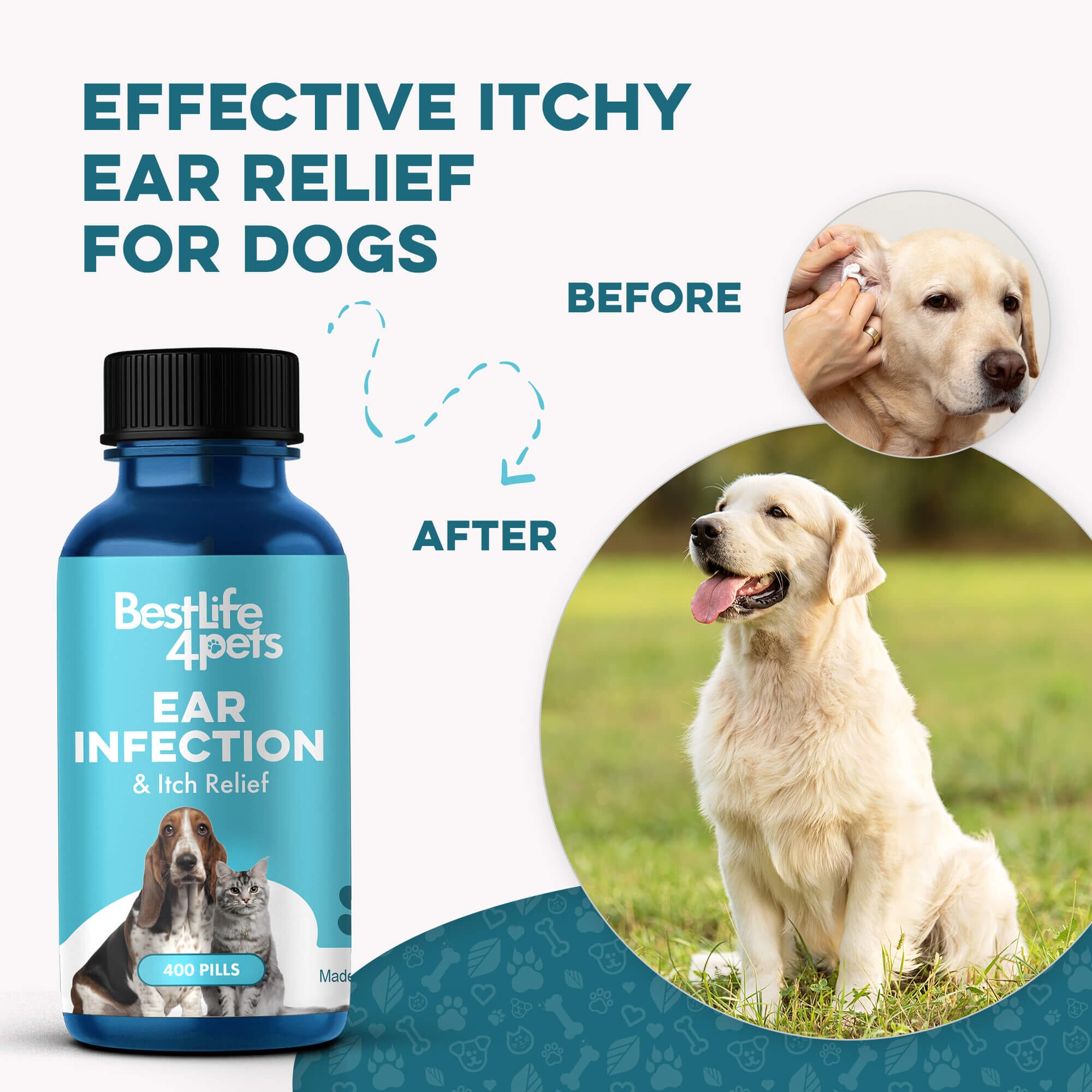 Ear Infection & Itch Relief for Dogs and Cats BestLife4Pets 