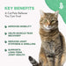 Cat Hip and Joint Pain Relief - Effective Anti-inflammatory and Arthritis Pain Medicine BestLife4Pets 