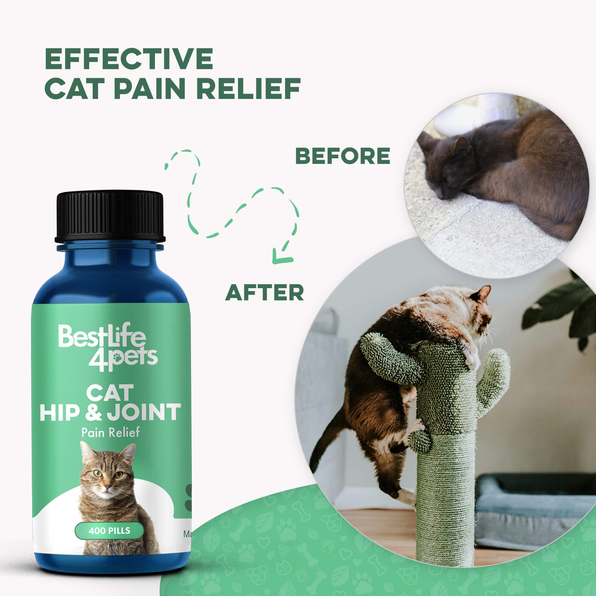 Cat Hip and Joint Pain Relief - Effective Anti-inflammatory and Arthritis Pain Medicine BestLife4Pets 