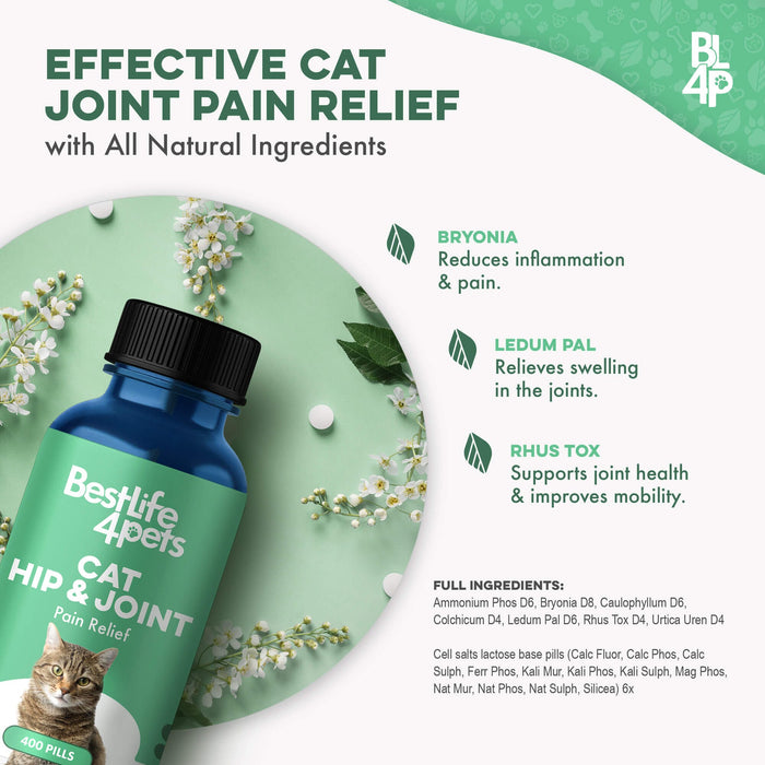 Cat Hip and Joint Pain Relief - Effective Anti-inflammatory and Arthritis Pain Medicine BestLife4Pets 