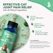 Cat Hip and Joint Pain Relief - Effective Anti-inflammatory and Arthritis Pain Medicine BestLife4Pets 