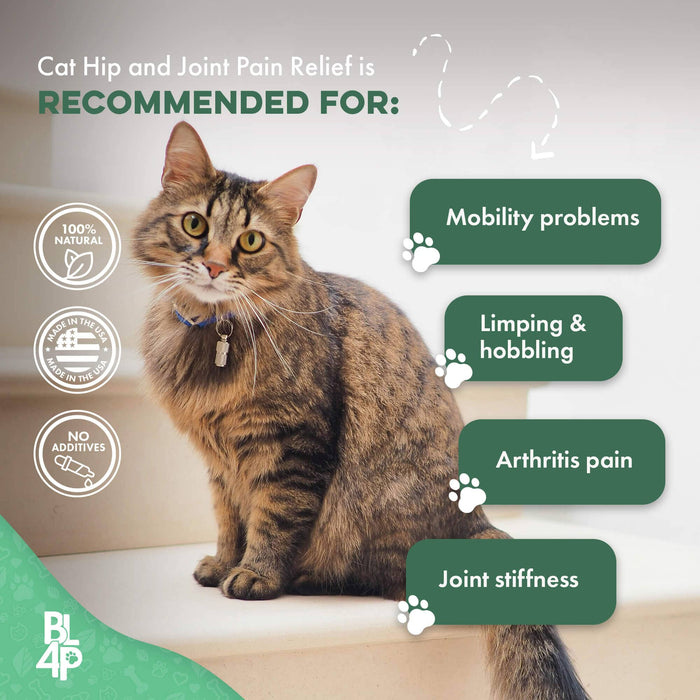 Cat Hip and Joint Pain Relief - Effective Anti-inflammatory and Arthritis Pain Medicine BestLife4Pets 